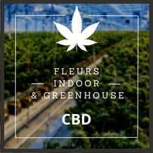 Charger l'image dans la galerie, Infusion de fleurs cbd indoor Greenhouse
