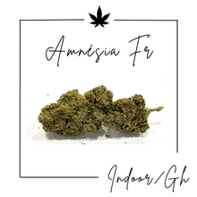 Charger l'image dans la galerie, Fleurs Indoor Premium ( Nouveautés )