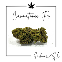 Charger l'image dans la galerie, Fleurs Indoor/GreenHouse ( Nouveautés et promos )