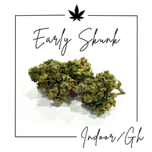 Charger l'image dans la galerie, Infusion de fleurs cbd indoor Greenhouse Early Skunk
