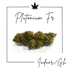 Charger l'image dans la galerie, Fleurs Indoor/GreenHouse ( Nouveautés et promos )