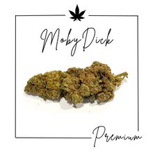 Charger l'image dans la galerie, Fleurs Indoor Premium ( Nouveautés )