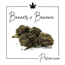 Charger l'image dans la galerie, Fleurs Indoor Premium ( Nouveautés 3/03/2026 )