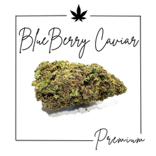 Charger l'image dans la galerie, Fleurs Indoor Premium ( Nouveautés 3/03/2026 )