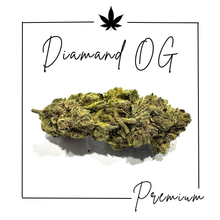 Charger l'image dans la galerie, Fleurs Indoor Premium ( Nouveautés 3/03/2026 )