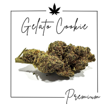 Charger l'image dans la galerie, Fleurs Indoor Premium ( Nouveautés 3/03/2026 )