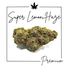 Charger l'image dans la galerie, Fleurs Indoor Premium ( Nouveautés 3/03/2026 )