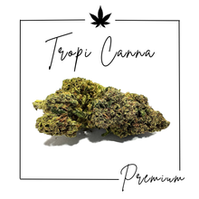 Charger l'image dans la galerie, Fleurs Indoor Premium ( Nouveautés 3/03/2026 )