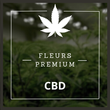 Charger l'image dans la galerie, Fleurs Indoor Premium

