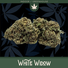 Charger l'image dans la galerie, Packs Découvertes
