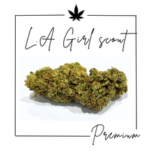 Charger l&#39;image dans la galerie, Fleurs Indoor Premium ( Nouveautés 12/11/25 )
