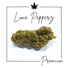 Charger l&#39;image dans la galerie, Fleurs Indoor Premium ( Nouveautés 12/11/25 )
